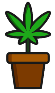 plantpot plantpot